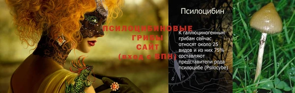 гидра Бугульма