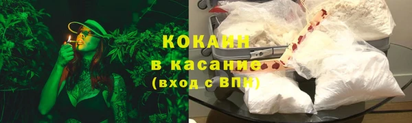 стафф Бородино