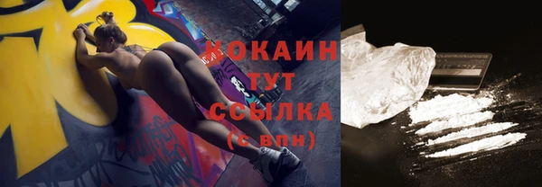 стафф Бородино