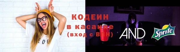 стафф Бородино