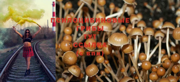 стафф Бородино