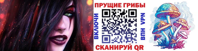 Псилоцибиновые грибы Psilocybe  нарко площадка наркотические препараты  Грязовец  hydra зеркало 